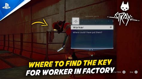 where are the keys in the factory stray